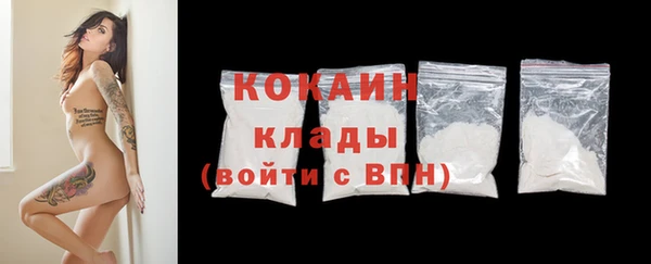 молекула духа Алексин